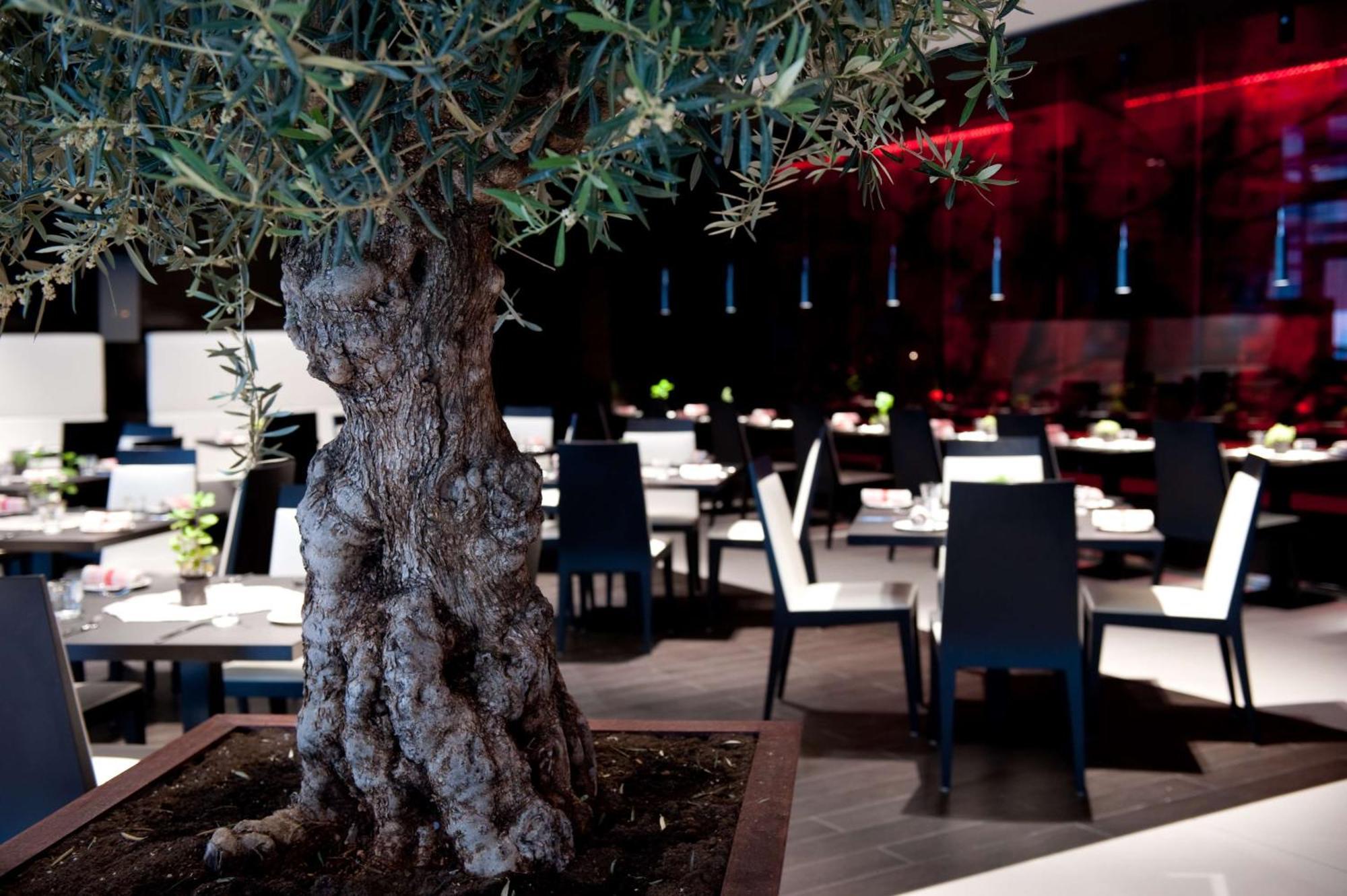فندق بارك بلازا وستمنستر بريدج لندن المظهر الخارجي الصورة Restaurant